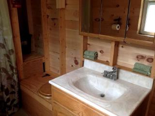 Rustic Creekside Cabin on 100-Acre Forest near Letchworth Park, New York - 3