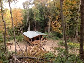Rustic Creekside Cabin on 100-Acre Forest near Letchworth Park, New York - 6