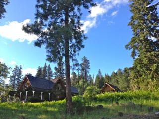Charming Log Cabin Rental with Outdoor Grill near Gifford Pinchot National Forest - 6
