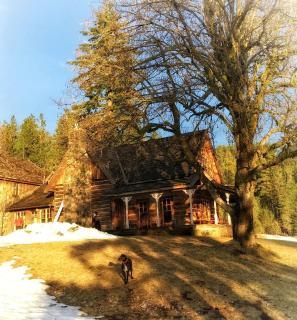 Charming Log Cabin Rental with Outdoor Grill near Gifford Pinchot National Forest - 3