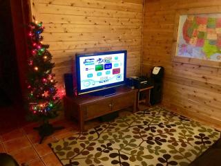 Cozy and Spacious Log Cabin Rental near Burt Lake State Park in Michigan - 1