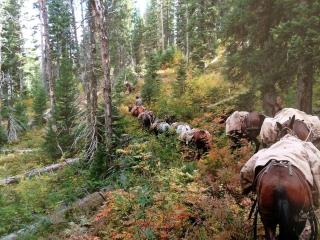 Traditional Log Cabin Rental near the Grand Tetons in Alpine, Wyoming - 6