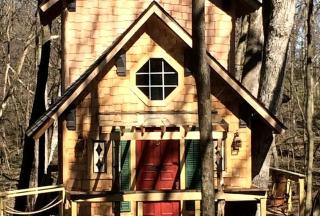 Tree House Cabin for Six with Panoramic Forest Views in Nauvoo, Illinois - 7