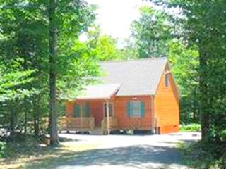 Secluded Cabin Nestled in the Mountains near the Tioga State Forest, Pennsylvania - 0