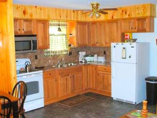 Secluded Cabin Nestled in the Mountains near the Tioga State Forest, Pennsylvania - 8