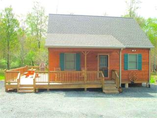 Secluded Cabin Nestled in the Mountains near the Tioga State Forest, Pennsylvania - 4