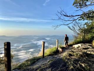 Secluded Delight: Unplug and Reconnect in a Special House in Lake Toxaway's Woods - 5