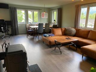 Familievennlig 2 mannsbolig Hemsedal Sentrum - 2