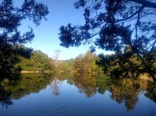 Retro Camping Caravan Rental for a Unique Country Getaway near Austin, Texas - 4
