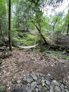 Amazing Equipped Bell Tent Nestled Among Nature in New York - 1