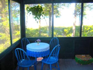 Historic Vacation Rental located near Mackinaw City, Michigan - 3