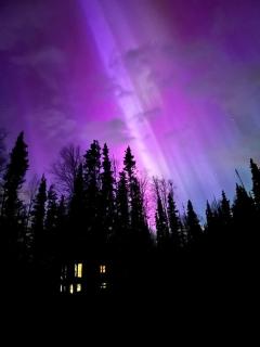 Beautiful Secluded Cabin in Anchorage, Alaska - 6