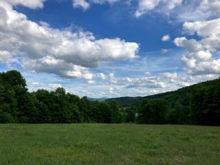 Lovely Farmhouse Cabin with Incredible Landscape Views in New York - Worcester - 2