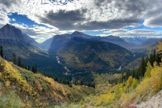 Heavenly Cabin Nestled Among the Towering Trees in Montana - 6