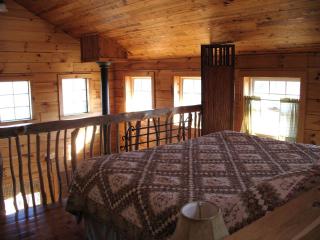 Cozy Cabin near the George Washington and Jefferson Forest in Virginia - 7