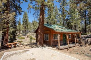 Cozy Four-Person Cabin Secluded in the Woodlands of Angelus Oaks, California - 0