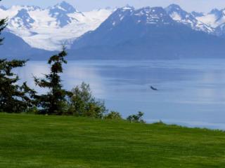 Family-Friendly Vacation Rental with Jaw-Dropping Views in Homer, Alaska - 5