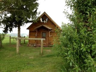 Charming Log Cabin with Mountain Views near Trails in Pony, Montana - 3