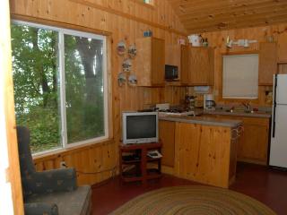 Lakeside Cabin Rental in the Woodlands of Indian Point, Wisconsin - 8