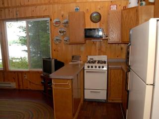 Lakeside Cabin Rental in the Woodlands of Indian Point, Wisconsin - 1