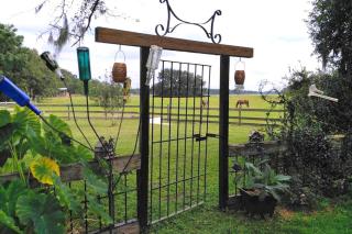 Gorgeous Glamping Tent on a Farm near the Suwannee River, Florida - 6