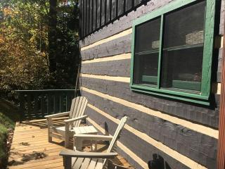 Seven Devils Family Vacation Rental in the Pisgah National Forest, North Carolina - 3