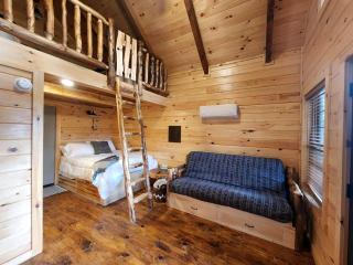 Sweet Tree Cabin with Grill Overlooking Tappan Lake in Ohio - 8