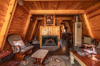Cozy Rustic Cabin in the Prescott National Forest near Lynx Lake in Prescott, Arizona - 1