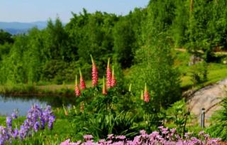 Peaceful Luxury Suite in a Bed and Breakfast with Balcony and Gorgeous Mountain Views by New Hampshire's Newfound Lake - 6