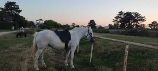 Apartmani Karučki Krš - 2