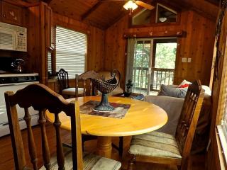Peaceful Pet-Friendly Cabin Rental in San Antonio Countryside, Texas - 8
