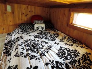 Peaceful Pet-Friendly Cabin Rental in San Antonio Countryside, Texas - 7