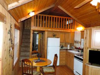 Peaceful Pet-Friendly Cabin Rental in San Antonio Countryside, Texas - 4
