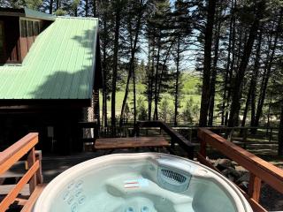 Cozy Mountain Cabin with Jacuzzi Near Ennis Lake in McAllister, Montana - 2