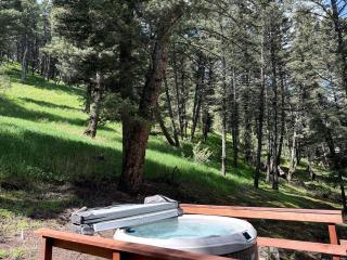 Cozy Mountain Cabin with Jacuzzi Near Ennis Lake in McAllister, Montana - 1