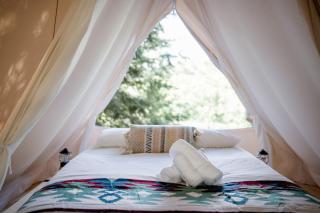Beautiful A-frame Safari Tent Surrounded by Trees in North Woodstock, New Hampshire - 7