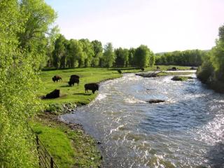 Cozy Accommodation with Breakfast Included in Meeteetse, Wyoming - 5