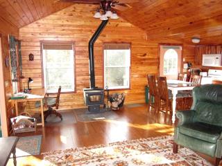 Rustic Vacation Rental with a Charming Dock in Ocala National Forest, Florida - 1
