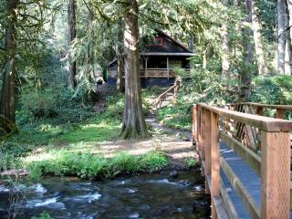 Secluded Forest Cabin in Rhododendron near Mt Hood Village in Oregon - 4