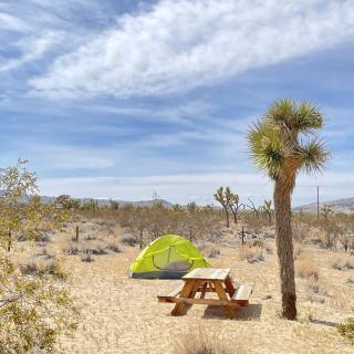 Remote Cabin in Landers, California, Perfect for Glamping near Joshua Tree National Park - 3