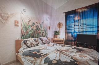 Maison de Charme en couleurs - 2