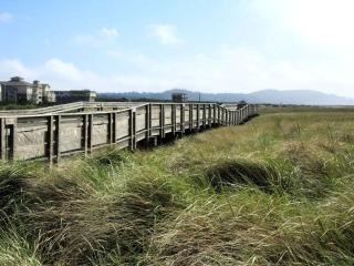 Bright Cottage Rental Ideal for Families on the Long Beach Peninsula, Washington - 6