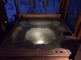 Secluded Cabin Rental near Letchworth State Park in Buffalo, Arcade, New York - 6