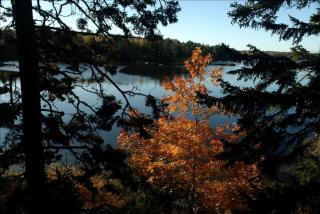 Coastal Vacation Rental with Fireplace near the Acadia National Park in Maine - 5