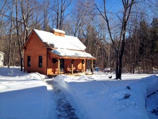 Cozy Mountain Cottage Rental near Green Mountain National Forest - 6