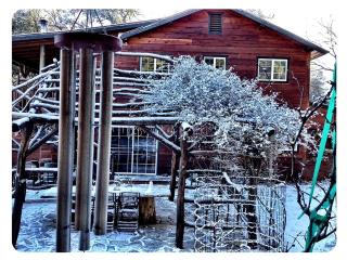 Grand Rustic Cabin Rental with Private Hot Tub near Escondido, California - 5