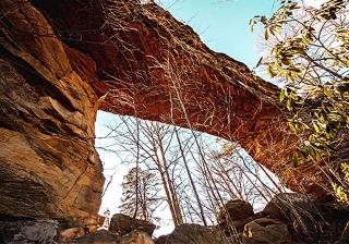 Gorgeous Secluded Cabin with Hiking Trails Near in Frenchburg, Kentucky - 1