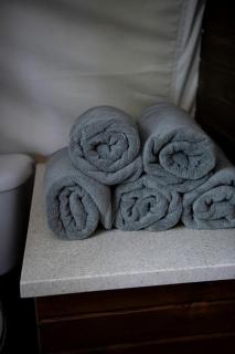 Luxury Conestoga Wagon, Perfect for a Weekend Glamping Escape from Dayton, Ohio - 4