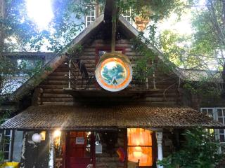 Eclectic Riverfront Log Cabin and Artist Retreat for Groups in Castle Hayne, North Carolina - 4