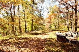 Inviting Suite Rental with Private Bathroom near Mars Hill, North Carolina - 4